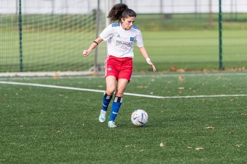 Bild 95 - F Hamburger SV 3 - Walddoerfer SV 2 : Ergebnis: 5:2